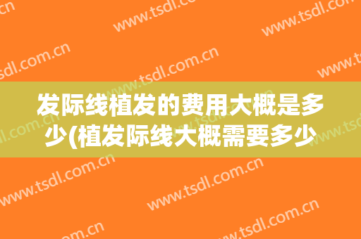 发际线植发的费用大概是多少(植发际线大概需要多少费用)