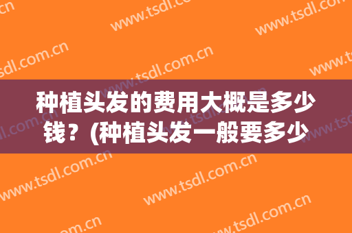 种植头发的费用大概是多少钱？(种植头发一般要多少钱)