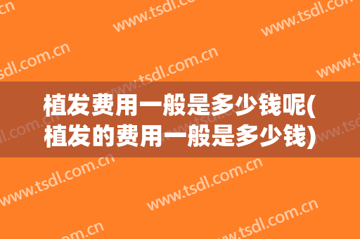 植发费用一般是多少钱呢(植发的费用一般是多少钱)