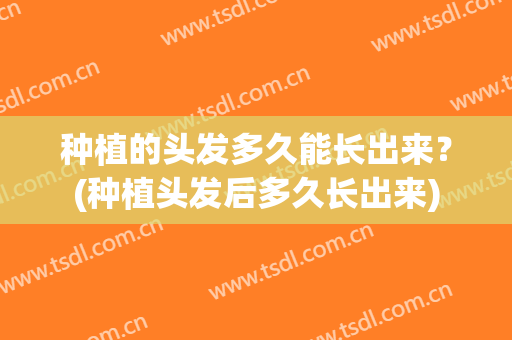 种植的头发多久能长出来？(种植头发后多久长出来)