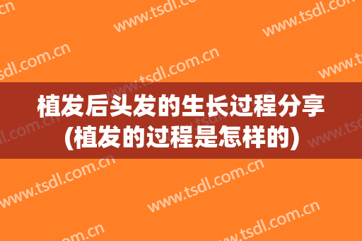 植发后头发的生长过程分享(植发的过程是怎样的)