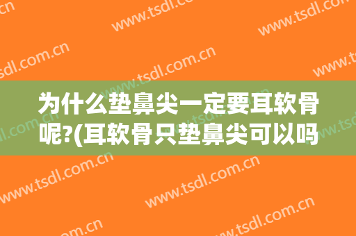 为什么垫鼻尖一定要耳软骨呢?(耳软骨只垫鼻尖可以吗)