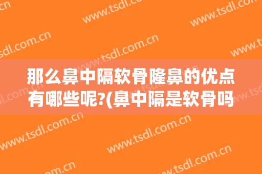 那么鼻中隔软骨隆鼻的优点有哪些呢?(鼻中隔是软骨吗)