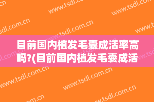 目前国内植发毛囊成活率高吗?(目前国内植发毛囊成活率高吗多少)