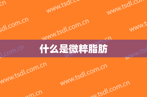 什么是微粹脂肪