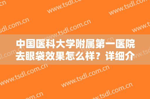 中国医科大学附属第一医院去眼袋效果怎么样？详细介绍2位医生及价格！