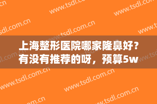 上海整形医院哪家隆鼻好？有没有推荐的呀，预算5w(上海隆鼻哪里整形医院好)