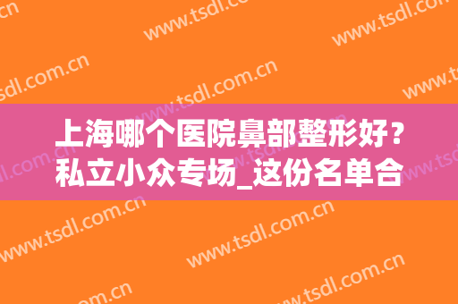 上海哪个医院鼻部整形好？私立小众专场_这份名单合集整理超详细(上海整形鼻子选什么医院好)
