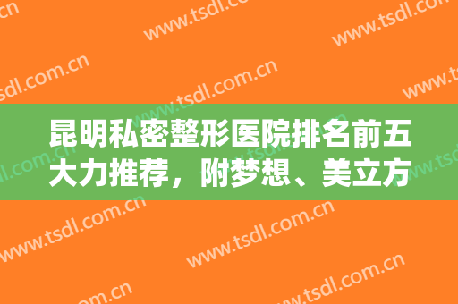 昆明私密整形医院排名前五大力推荐，附梦想、美立方口碑反馈合集！(昆明整形医院排名第一多少钱就找梦想)
