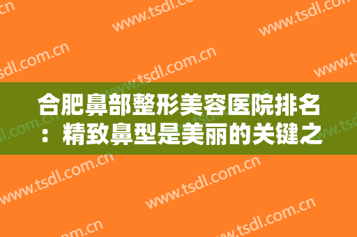 合肥鼻部整形美容医院排名：精致鼻型是美丽的关键之一，来看看这些医院吧！