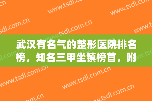武汉有名气的整形医院排名榜，知名三甲坐镇榜首，附医院优势介绍(武汉排名前几的整形医院)