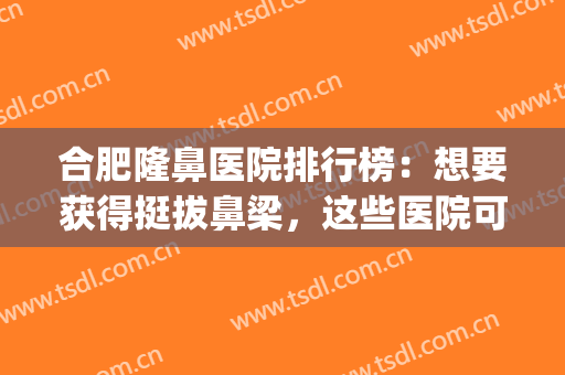 合肥隆鼻医院排行榜：想要获得挺拔鼻梁，这些医院可以帮您！(合肥最好的整鼻医生)