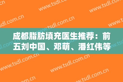 成都脂肪填充医生推荐：前五刘中国、邓萌、潘红伟等实力专家入围！(成都脂肪填充蒲小兵)
