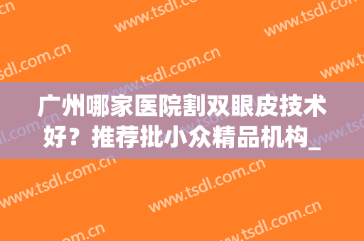 广州哪家医院割双眼皮技术好？推荐批小众精品机构_审美好价格低(广州哪家医院割双眼皮比较好?)