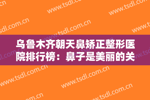 乌鲁木齐朝天鼻矫正整形医院排行榜：鼻子是美丽的关键！不妨来看看这些医院吧