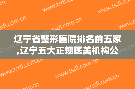 辽宁省整形医院排名前五家,辽宁五大正规医美机构公布(辽宁整形美容排行前十)