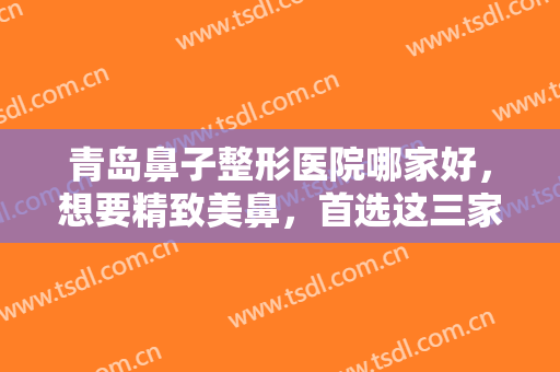 青岛鼻子整形医院哪家好，想要精致美鼻，首选这三家医院！