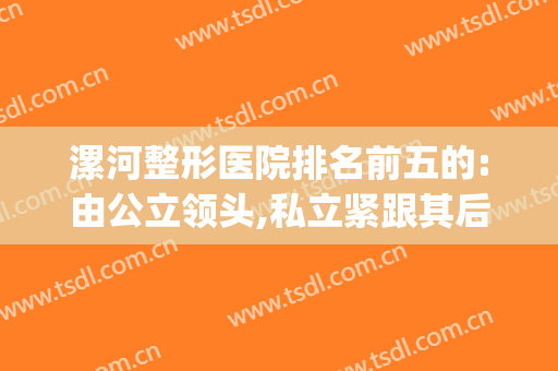 漯河整形医院排名前五的:由公立领头,私立紧跟其后!(漯河人民医院整形外科)