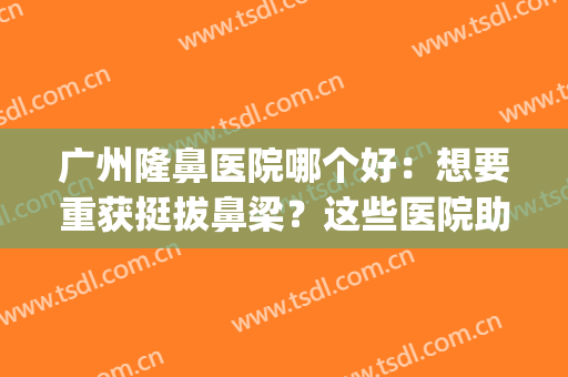 广州隆鼻医院哪个好：想要重获挺拔鼻梁？这些医院助您圆梦！(广州有名的隆鼻专家)