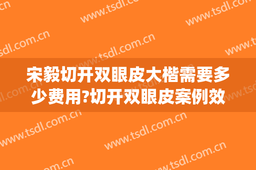 宋毅切开双眼皮大楷需要多少费用?切开双眼皮案例效果对比图_天津市公安医院