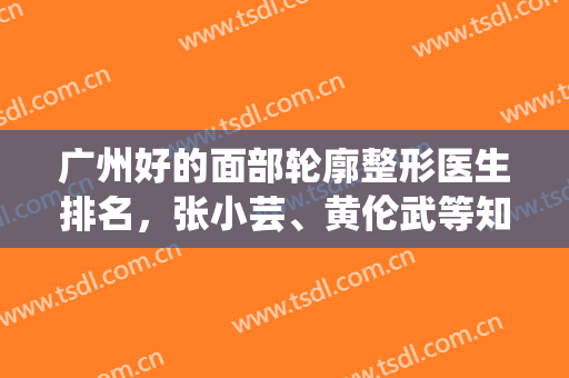 广州好的面部轮廓整形医生排名，张小芸、黄伦武等知名专家上榜，不要错过！