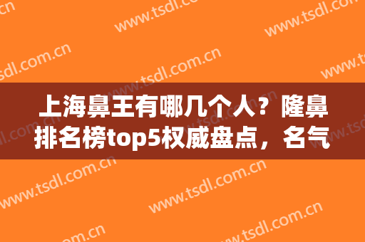 上海鼻王有哪几个人？隆鼻排名榜top5权威盘点，名气大、技术牛！(上海鼻整形医生排名)