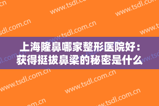 上海隆鼻哪家整形医院好：获得挺拔鼻梁的秘密是什么？这些医院来告诉你！