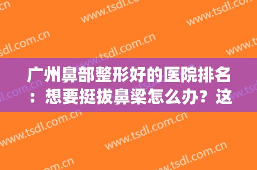 广州鼻部整形好的医院排名：想要挺拔鼻梁怎么办？这些医院来帮你！(广州鼻整形厉害的医生)