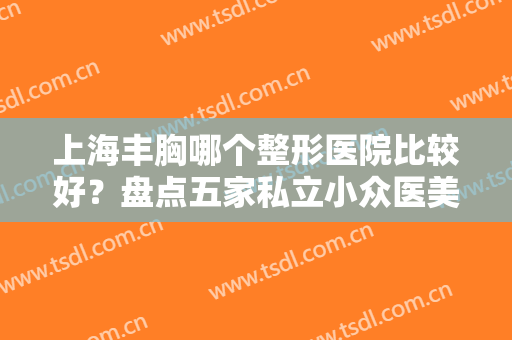 上海丰胸哪个整形医院比较好？盘点五家私立小众医美，口碑靠谱不贵！