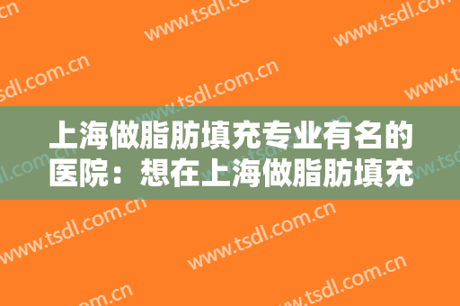 上海做脂肪填充专业有名的医院：想在上海做脂肪填充，这些医院你可以信赖！
