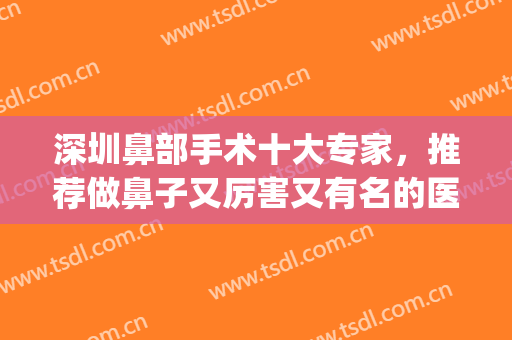 深圳鼻部手术十大专家，推荐做鼻子又厉害又有名的医生，附价格表(深圳哪家医院鼻子做的好)