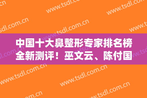中国十大鼻整形专家排名榜全新测评！巫文云、陈付国新晋榜单_技术亮点解析