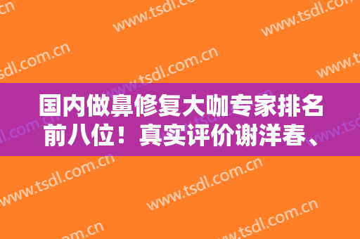 国内做鼻修复大咖专家排名前八位！真实评价谢洋春、戴传昌等审美风格