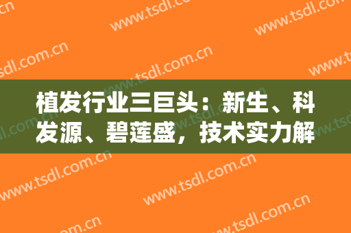 植发行业三巨头：新生、科发源、碧莲盛，技术实力解析,谁是带头?(植发界大咖)