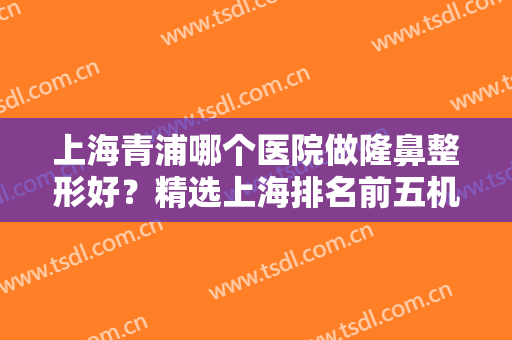 上海青浦哪个医院做隆鼻整形好？精选上海排名前五机构，详解入围理由~