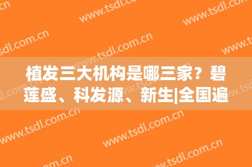 植发三大机构是哪三家？碧莲盛、科发源、新生|全国遍地开花，价格低(新生植发和碧莲盛植发)