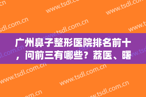 广州鼻子整形医院排名前十，问前三有哪些？荔医、曙光、紫馨占据！(紫 馨广州三级外科的鼻子整形医院)