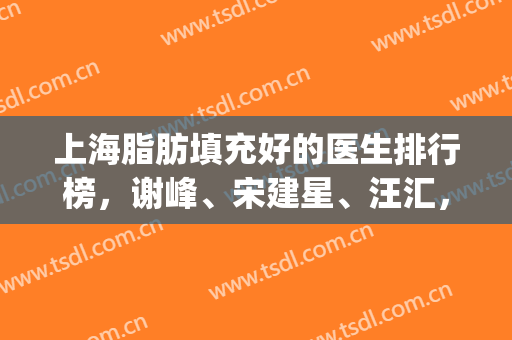 上海脂肪填充好的医生排行榜，谢峰、宋建星、汪汇，5位业内认可的(上海有名的脂肪填充医生排名)
