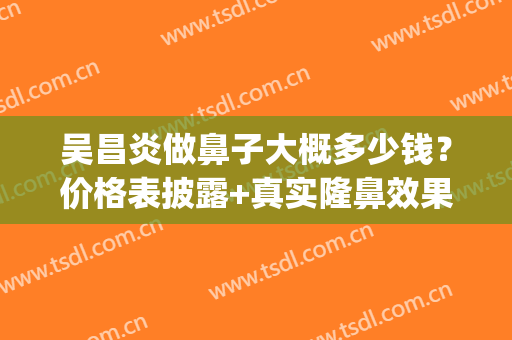 吴昌炎做鼻子大概多少钱？价格表披露+真实隆鼻效果展示(吴昌炎做鼻子怎么样)