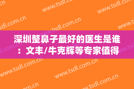 深圳整鼻子最好的医生是谁：文丰/牛克辉等专家值得信任~~(深圳出名的隆鼻医生)
