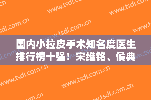 国内小拉皮手术知名度医生排行榜十强！宋维铭、侯典举等十位不踩雷