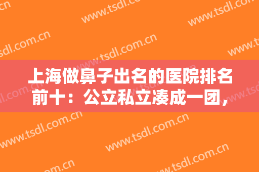 上海做鼻子出名的医院排名前十：公立私立凑成一团，各具优势不走偏！
