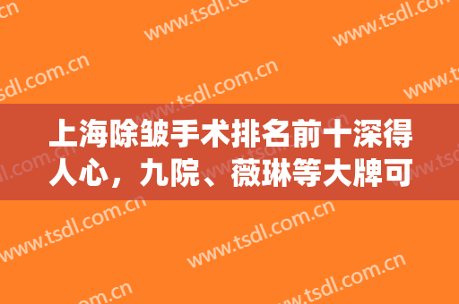 上海除皱手术排名前十深得人心，九院、薇琳等大牌可盘，全城热搜！(上海除皱手术哪家好)