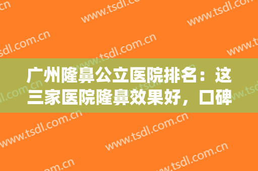 广州隆鼻公立医院排名：这三家医院隆鼻效果好，口碑高~~~~~(广州隆鼻三甲医院排行)