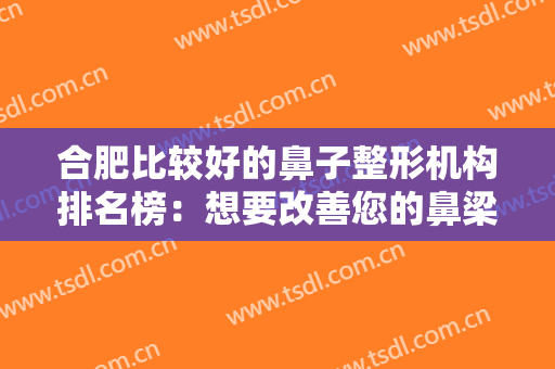 合肥比较好的鼻子整形机构排名榜：想要改善您的鼻梁问题，不妨找这些医院来看看吧！