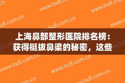 上海鼻部整形医院排名榜：获得挺拔鼻梁的秘密，这些医院来告诉你！(上海鼻子整形医生排名)