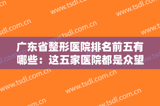 广东省整形医院排名前五有哪些：这五家医院都是众望所归，你全都认识吗？
