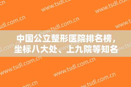 中国公立整形医院排名榜，坐标八大处、上九院等知名医院，权威推荐值得信服~