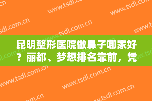 昆明整形医院做鼻子哪家好？丽都、梦想排名靠前，凭实力口碑锁定医美TOP3