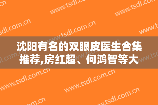 沈阳有名的双眼皮医生合集推荐,房红超、何鸿智等大咖云集,价格全新出炉